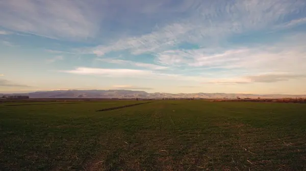 Como evitar prejuízos em contratos de arrendamento rural